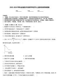 2023-2024学年山东省东平实验中学化学九上期末质量检测试题含答案