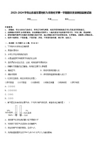 2023-2024学年山东省东营地区九年级化学第一学期期末质量跟踪监视试题含答案