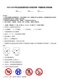 2023-2024学年山东省东营市名校九年级化学第一学期期末复习检测试题含答案