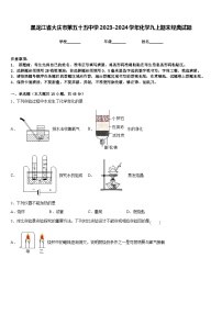 黑龙江省大庆市第五十五中学2023-2024学年化学九上期末经典试题含答案