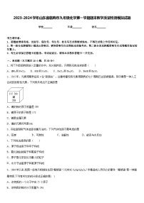 2023-2024学年山东省临朐市九年级化学第一学期期末教学质量检测模拟试题含答案