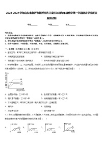 2023-2024学年山东省临沂市临沂经济开发区九级九年级化学第一学期期末学业质量监测试题含答案