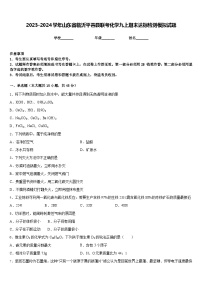 2023-2024学年山东省临沂平邑县联考化学九上期末达标检测模拟试题含答案