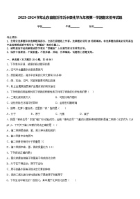 2023-2024学年山东省临沂市沂水县化学九年级第一学期期末统考试题含答案