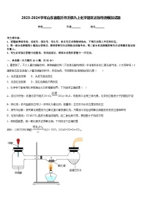 2023-2024学年山东省临沂市沂县九上化学期末达标检测模拟试题含答案