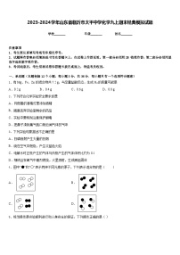 2023-2024学年山东省临沂市太平中学化学九上期末经典模拟试题含答案