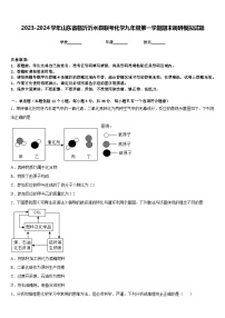 2023-2024学年山东省临沂沂水县联考化学九年级第一学期期末调研模拟试题含答案