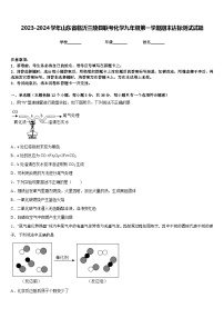 2023-2024学年山东省临沂兰陵县联考化学九年级第一学期期末达标测试试题含答案