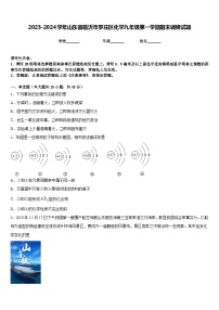 2023-2024学年山东省临沂市罗庄区化学九年级第一学期期末调研试题含答案