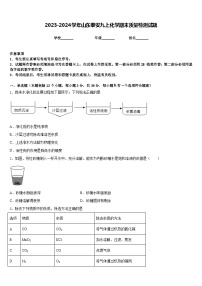 2023-2024学年山东泰安九上化学期末质量检测试题含答案