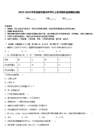 2023-2024学年宣城市重点中学九上化学期末监测模拟试题含答案