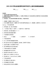 2023-2024学年山东省东营市实验中学化学九上期末质量跟踪监视试题含答案