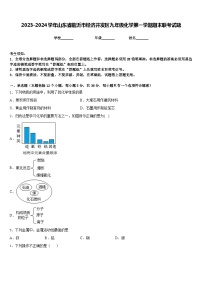 2023-2024学年山东省临沂市经济开发区九年级化学第一学期期末联考试题含答案