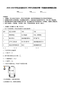 2023-2024学年山东省安丘市二中学九年级化学第一学期期末调研模拟试题含答案