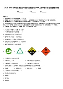 2023-2024学年山东省安丘市红沙沟镇红沙沟中学九上化学期末复习检测模拟试题含答案