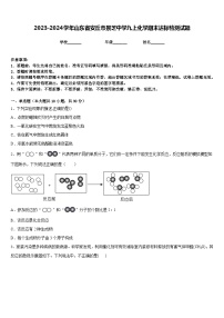 2023-2024学年山东省安丘市景芝中学九上化学期末达标检测试题含答案