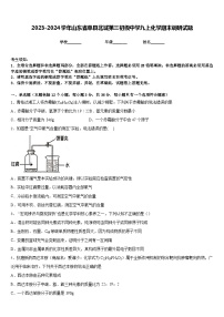 2023-2024学年山东省单县北城第三初级中学九上化学期末调研试题含答案