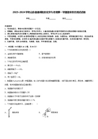 2023-2024学年山东省德州地区化学九年级第一学期期末综合测试试题含答案