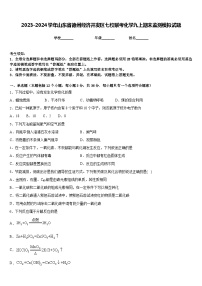 2023-2024学年山东省德州经济开发区七校联考化学九上期末监测模拟试题含答案