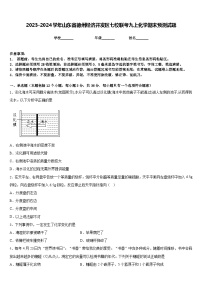 2023-2024学年山东省德州经济开发区七校联考九上化学期末预测试题含答案