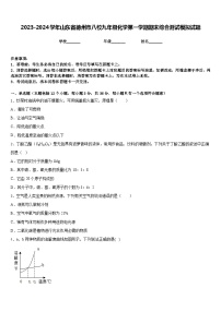 2023-2024学年山东省德州市八校九年级化学第一学期期末综合测试模拟试题含答案