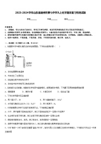 2023-2024学年山东省德州市第七中学九上化学期末复习检测试题含答案