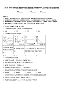 2023-2024学年山东省德州市经济开发区抬头寺镇中学九上化学期末复习检测试题含答案