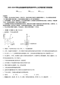 2023-2024学年山东省德州市夏津实验中学九上化学期末复习检测试题含答案