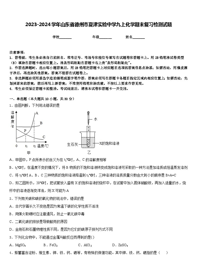 2023-2024学年山东省德州市夏津实验中学九上化学期末复习检测试题含答案01