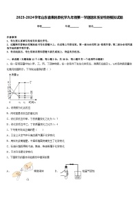 2023-2024学年山东省惠民县化学九年级第一学期期末质量检测模拟试题含答案