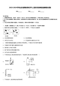 2023-2024学年山东省惠民县化学九上期末质量跟踪监视模拟试题含答案