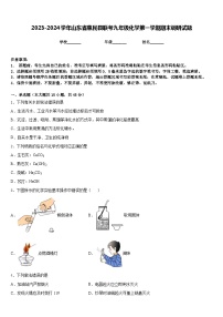 2023-2024学年山东省惠民县联考九年级化学第一学期期末调研试题含答案