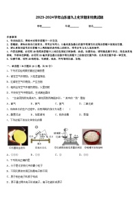 2023-2024学年山东省九上化学期末经典试题含答案