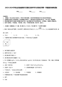 2023-2024学年山东省威海市文登区实验中学九年级化学第一学期期末调研试题含答案