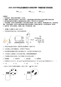 2023-2024学年山东省垦利区九年级化学第一学期期末复习检测试题含答案