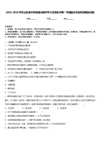 2023-2024学年山东省平邑县温水镇中学九年级化学第一学期期末质量检测模拟试题含答案