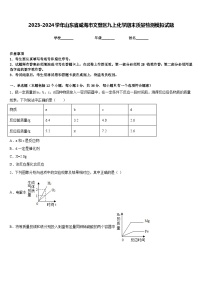 2023-2024学年山东省威海市文登区九上化学期末质量检测模拟试题含答案