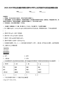 2023-2024学年山东省临沭县青云镇中心中学九上化学期末学业质量监测模拟试题含答案