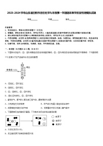 2023-2024学年山东省日照市名校化学九年级第一学期期末教学质量检测模拟试题含答案