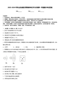 2023-2024学年山东省临沂费县联考化学九年级第一学期期末考试试题含答案