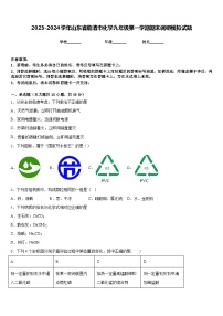 2023-2024学年山东省临清市化学九年级第一学期期末调研模拟试题含答案