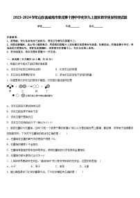 2023-2024学年山东省威海市荣成第十四中学化学九上期末教学质量检测试题含答案