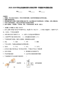 2023-2024学年山东省商河县九年级化学第一学期期末考试模拟试题含答案