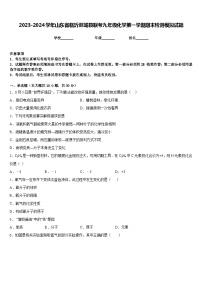 2023-2024学年山东省临沂郯城县联考九年级化学第一学期期末检测模拟试题含答案