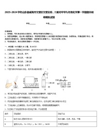 2023-2024学年山东省威海市文登区文登实验，三里河中学九年级化学第一学期期末调研模拟试题含答案