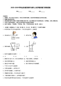 2023-2024学年山东省乐陵市九级九上化学期末复习检测试题含答案