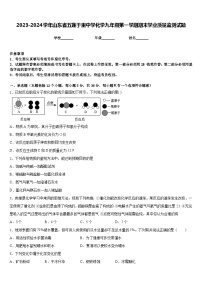 2023-2024学年山东省五莲于里中学化学九年级第一学期期末学业质量监测试题含答案