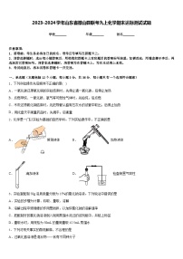 2023-2024学年山东省微山县联考九上化学期末达标测试试题含答案