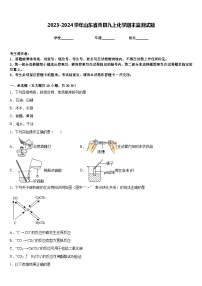 2023-2024学年山东省曹县九上化学期末监测试题含答案