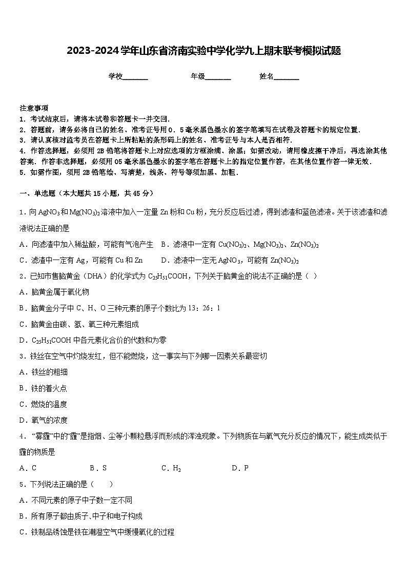 2023-2024学年山东省济南实验中学化学九上期末联考模拟试题含答案01